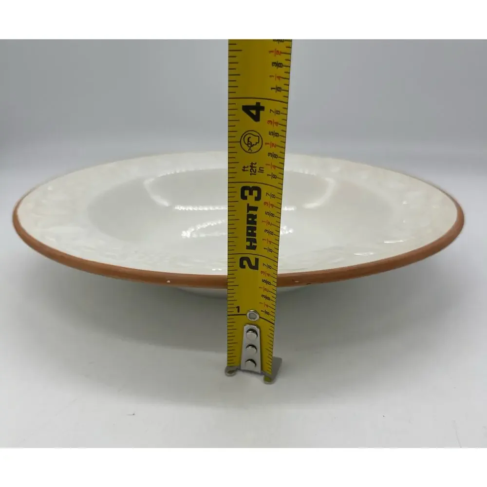 Pier 1 Fruit Relief Set of 4 Soup / Pasta Bowls Italy Wear on Rims *See Photos